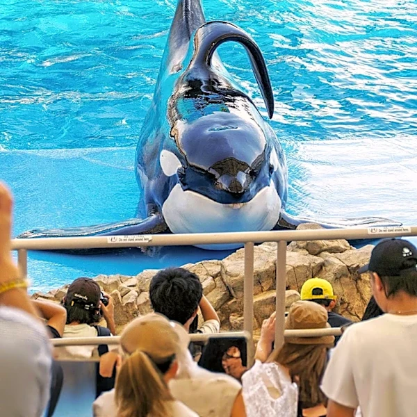 SeaWorld Entertainment Seeks General Services Accounting Specialist for Financial Operations