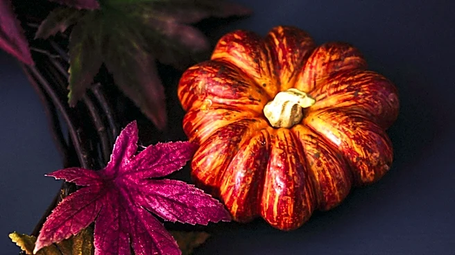 Simple Materials Transform into Fall Crafts for Home Decor and Activities