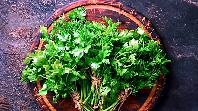 Edible Garden Expands Walmart Distribution for Fresh-Cut Herbs in Upper Midwest