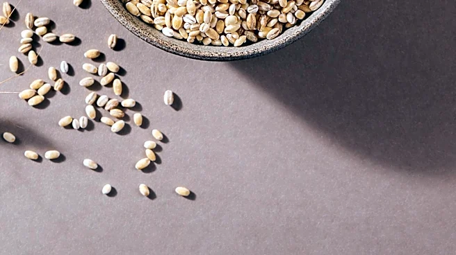Whole Grain Consumption Linked to Improved Cardiovascular Health Markers