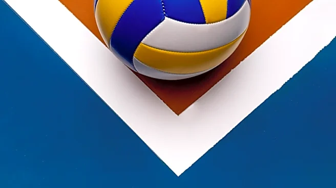 NorCal Rumble Unveils Team Name and Brand for 2027 Major League Volleyball Season