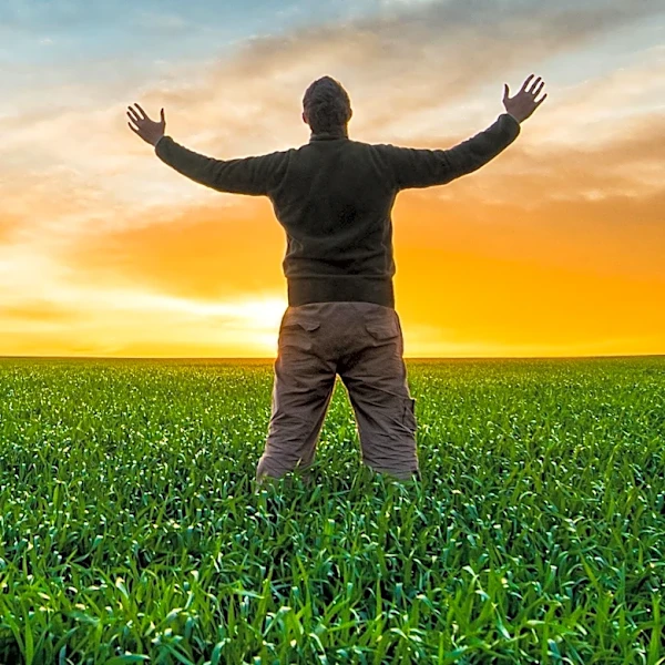 Scholar Challenges Myths About Single Life, Emphasizing Freedom and Solitude