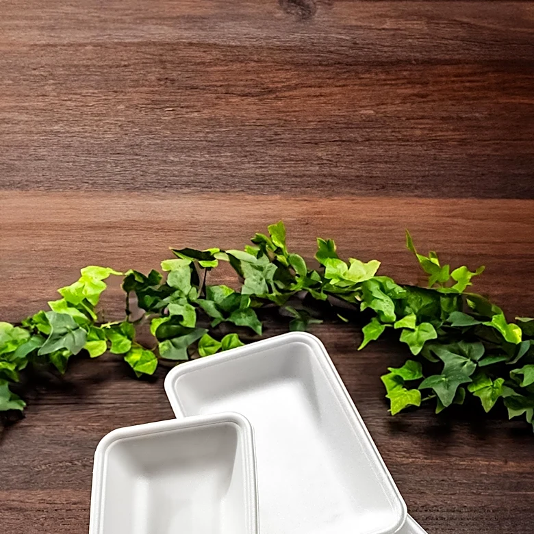 Biotech Startups Drive Growth in Foam Pulp Vial Trays Market Amidst Sustainability Push