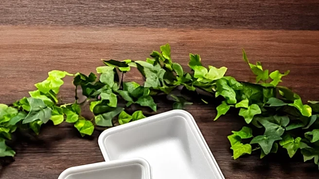 Biotech Startups Drive Growth in Foam Pulp Vial Trays Market Amidst Sustainability Push