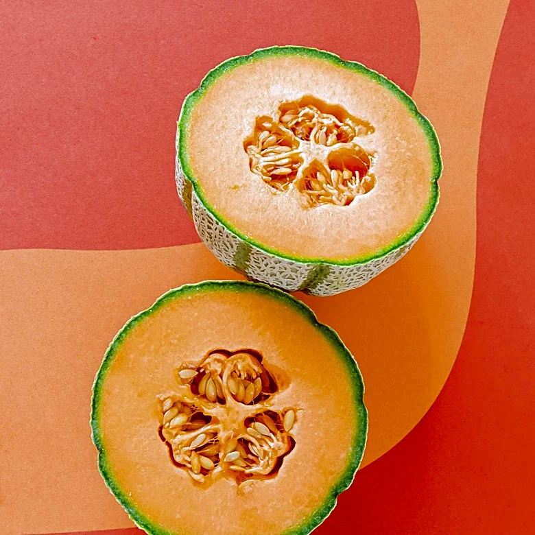 Food-Inspired Color Palettes Enhance Visual Appeal and Branding in Media