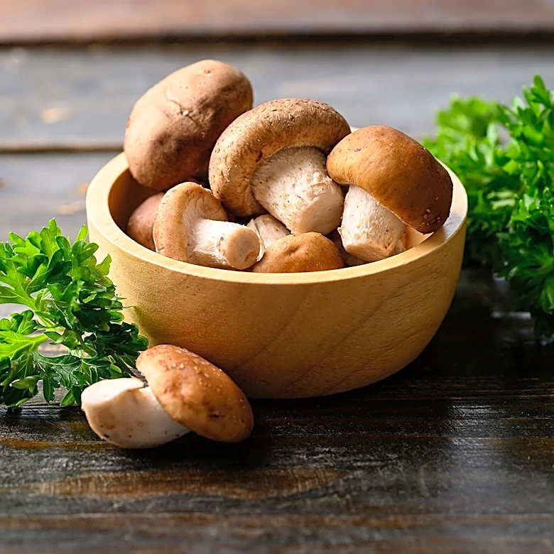 Troop Mushrooms Leverages Payment Gateway to Expand Mushroom Product Accessibility in the Philippines