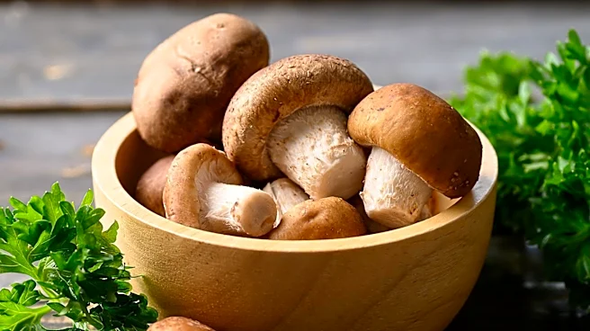 Troop Mushrooms Leverages Payment Gateway to Expand Mushroom Product Accessibility in the Philippines