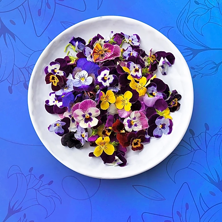 Edible Flowers Gain Prominence in Modern Culinary and Decorative Applications
