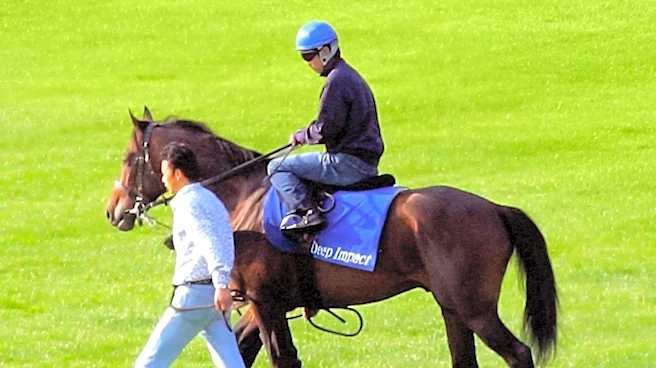 Oscar Nuñez Identified as Trainer for Third-Place Finisher Catalina Scratch in TPHBA I'm Single Juvenile