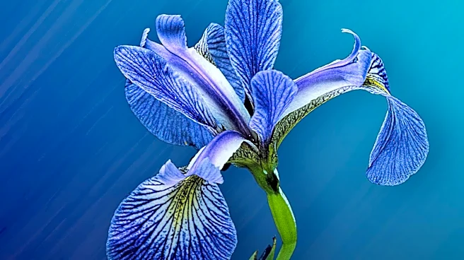 IRS Transitioning from FIRE to IRIS for 1099 E-Filing in 2027