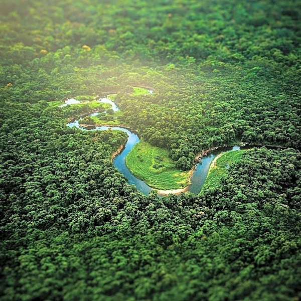 New Power Plant in Amazon Rainforest Aims to Stabilize Renewable Energy Grid