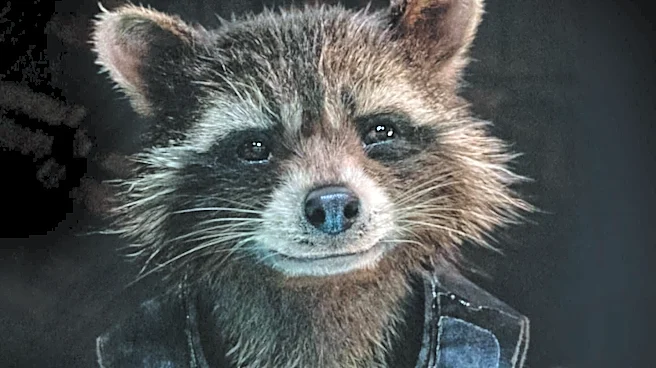 Original Guardians of the Galaxy Actor Sean Gunn Retires from Rocket Raccoon Role After 12 Years