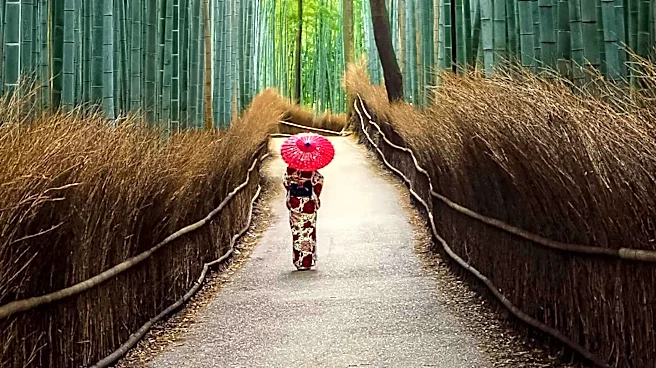 Japanese Walking Tours Offer Unique Cultural and Natural Experiences Away from Crowds