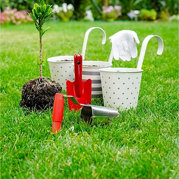 October Gardening Checklist Emphasizes Fall Bulb Planting and Garden Preparation