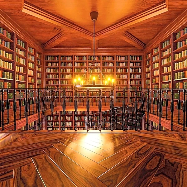 Sarasota's Quiet Reading Club Offers Low-Pressure Socialization and Community Building