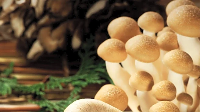 National Advertising Division Challenges Alice Mushrooms' Product Claims