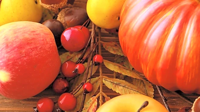 Fall Fruits and Lifestyle Habits Boost Gut Health and Digestion