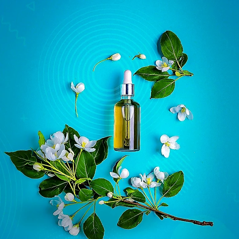 Kerala Sisters' 'Aesthetic' Brand Achieves Significant Sales in Natural Skincare and Fragrance Market