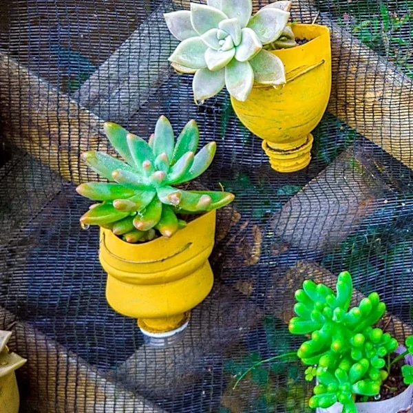 Gardener Transforms Old Frying Pans into Tiered Succulent Planter Through DIY Project