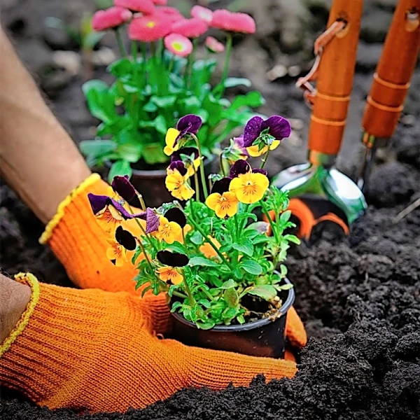 Gardening Experts Advise Against Fall Cleanup for Enhanced Spring Blooms and Ecosystem Health