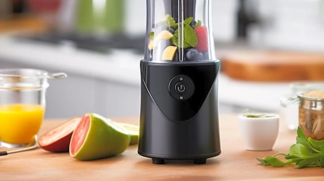 Vitamix Nano Personal Blender Receives Positive Review for Smoothie Performance