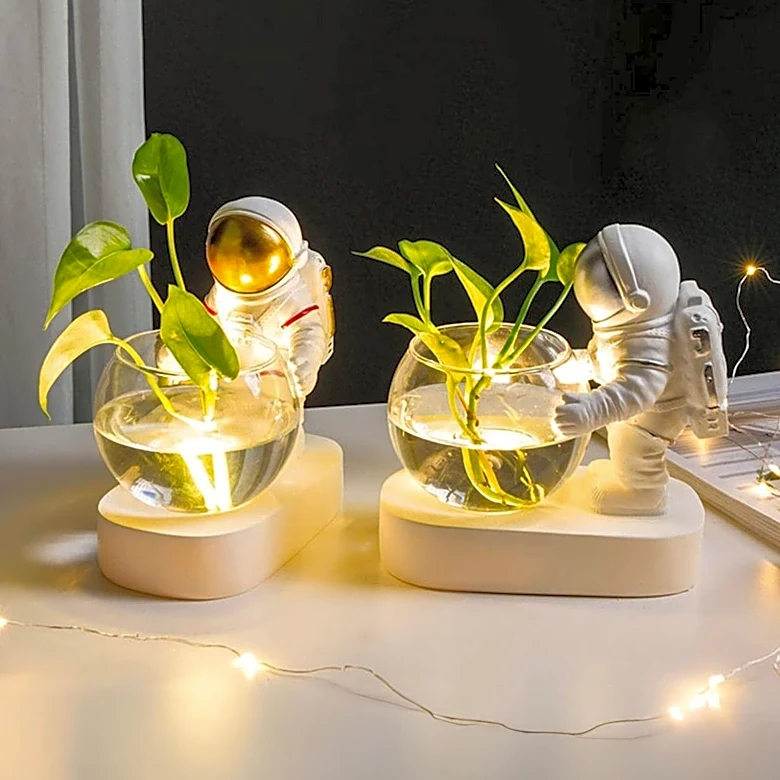 Hydroponic Garden Sizing Depends on Household Needs and Available Space