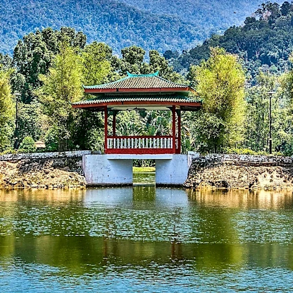 Dayangwan Ecotourism Scenic Area Integrates Urban Leisure with Local Culture in Yancheng, China