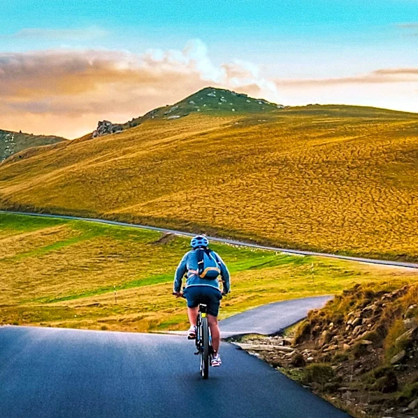 Cycling's Carbon Footprint Primarily Driven by Rider's Diet, Not Bicycle Production