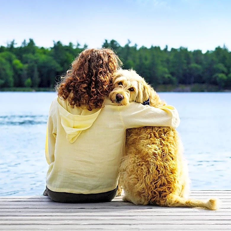 Harbor Country Michigan Offers Pet-Friendly Vacation Rentals with Enhanced Amenities