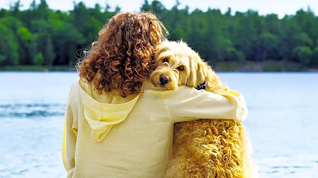 Harbor Country Michigan Offers Pet-Friendly Vacation Rentals with Enhanced Amenities