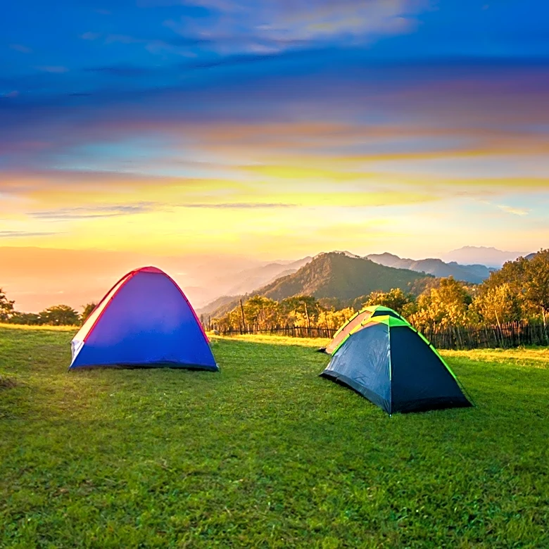 Langley Wilding Campsite Offers Eco-Friendly Escape in Derbyshire
