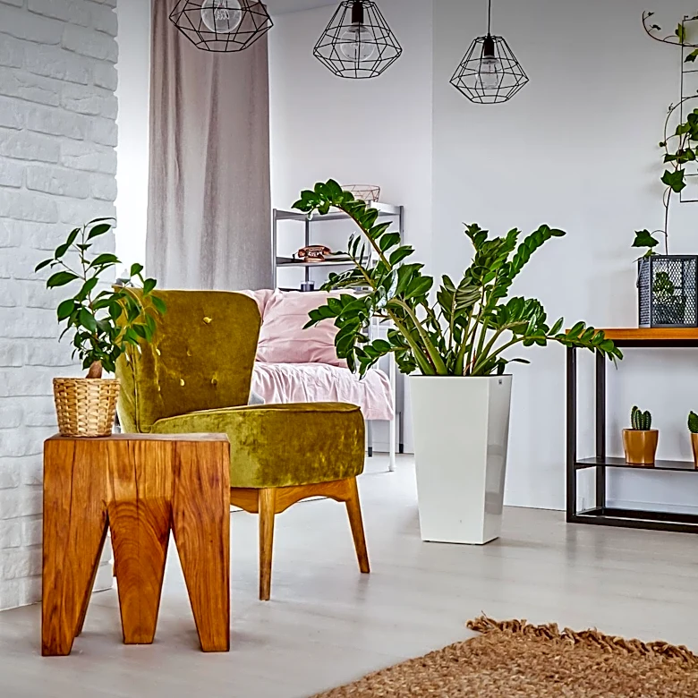 Petworth's Swift Apartments Offer Redefined Studio Living with Separate Sleeping Areas