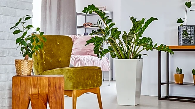 Petworth's Swift Apartments Offer Redefined Studio Living with Separate Sleeping Areas