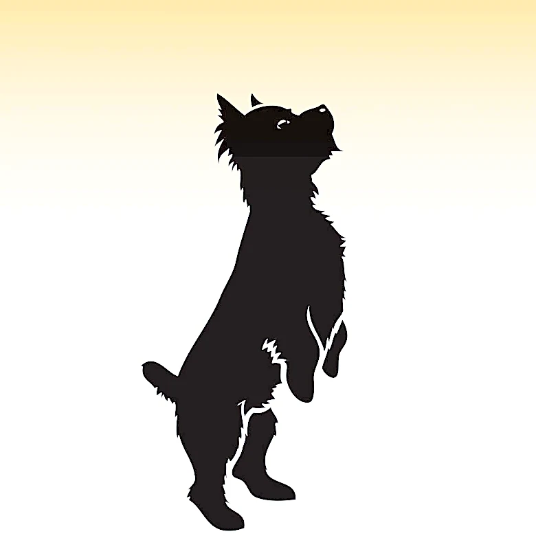 Exploration of 'Shaggy Dog Story' Origin and Characteristics in Storytelling