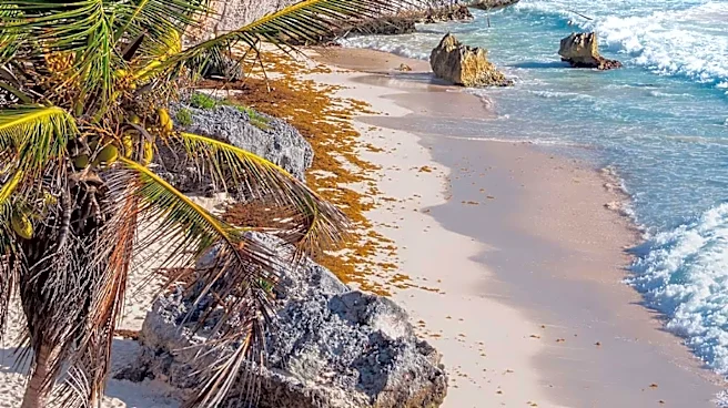 Aeroméxico Suspends All Flights to Tulum International Airport Amidst Declining Regional Demand