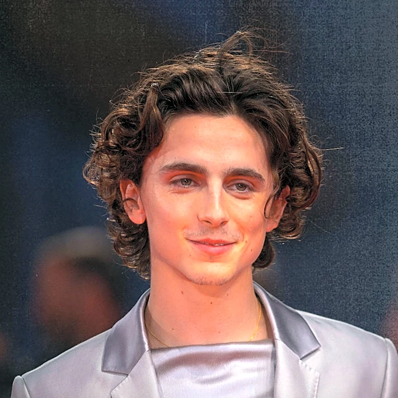 Timothée Chalamet Portrays Prince Hal in Netflix's 'The King'