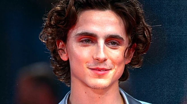 Timothée Chalamet Portrays Prince Hal in Netflix's 'The King'