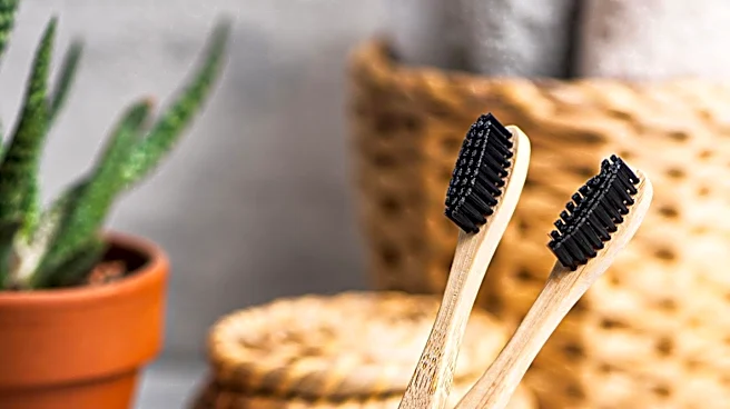 Eco-Home Refillable Products Gain Traction in Beauty and Personal Care Sectors