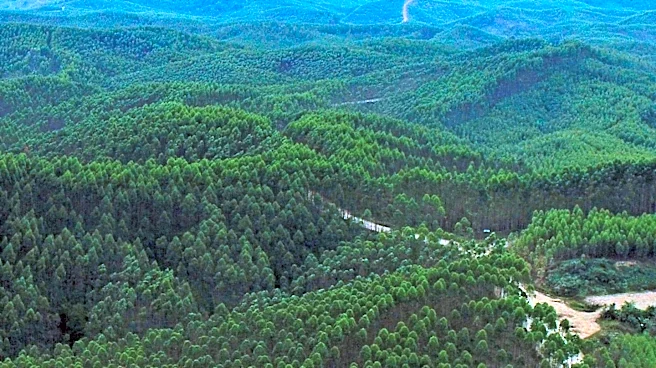 American Forest Management Offers 599-Acre Timberland and Recreational Property in Virginia