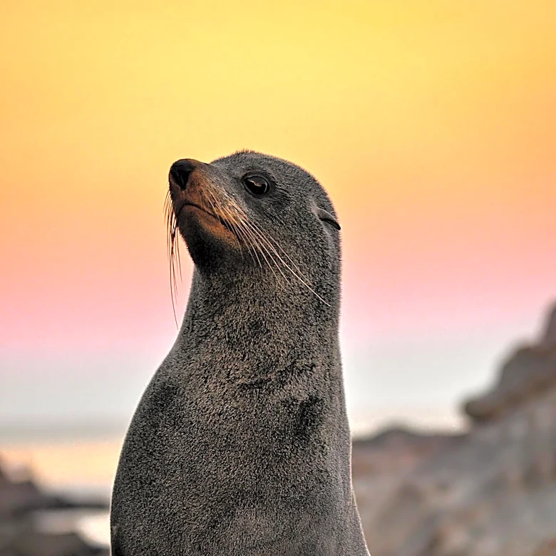 North Norfolk Highlights Nature and Heritage, Featuring Seal Trips and Historic Sites