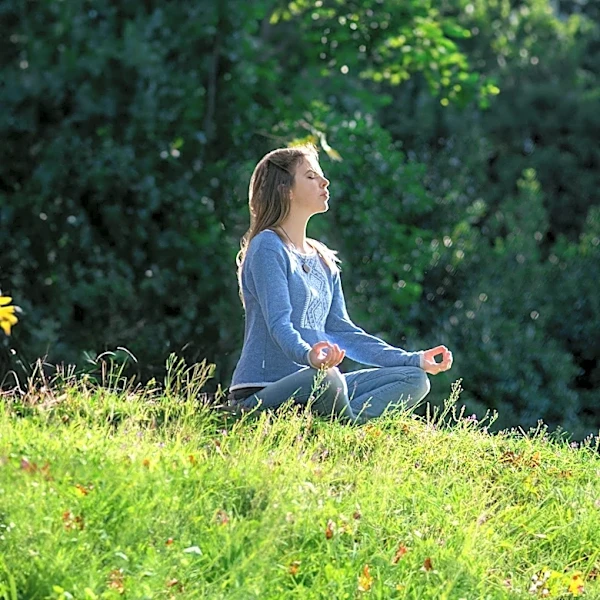 Zen Meditation Retreat Scheduled in Devon, UK, Focusing on 'Just Sitting' Practice
