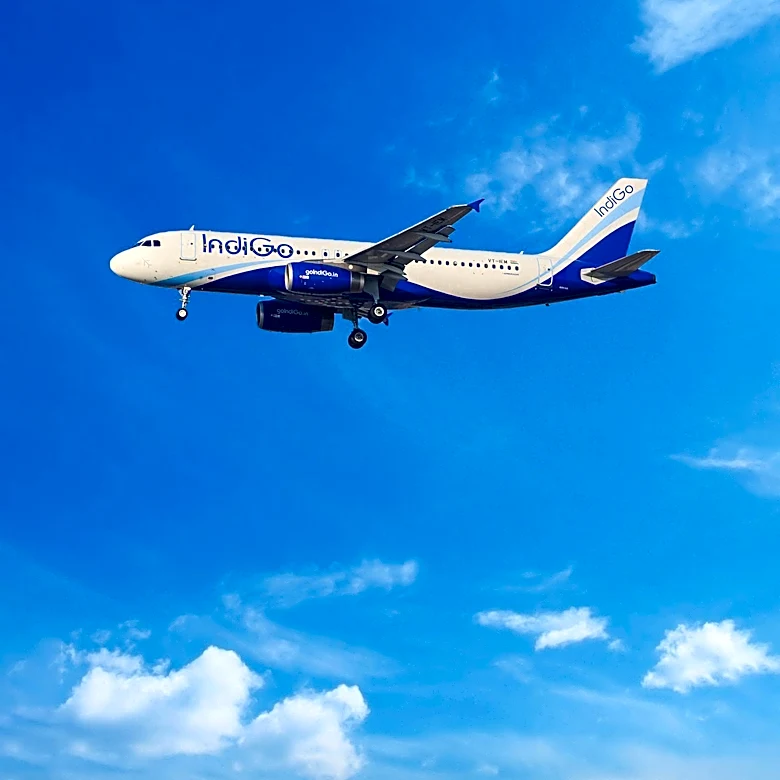 Indigo Surpasses $20 Million in Premiums, Driven by AI-Powered Medical Liability Platform Growth