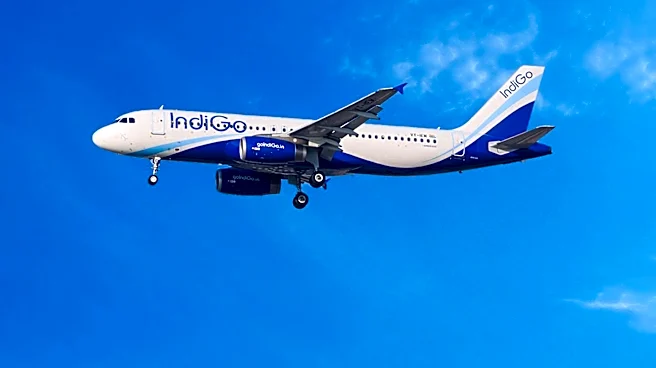 Indigo Surpasses $20 Million in Premiums, Driven by AI-Powered Medical Liability Platform Growth
