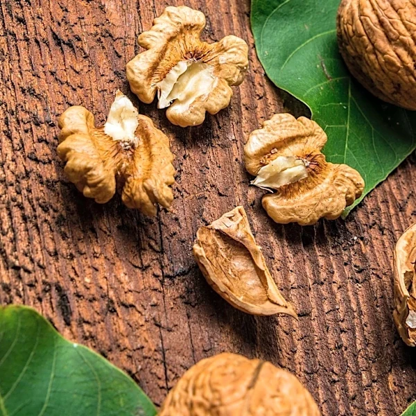 USDA Purchases 28 Million Pounds of California Walnuts to Support Domestic Food Programs