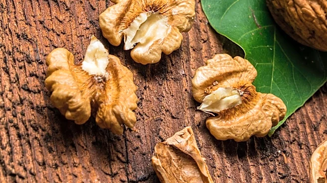 USDA Purchases 28 Million Pounds of California Walnuts to Support Domestic Food Programs