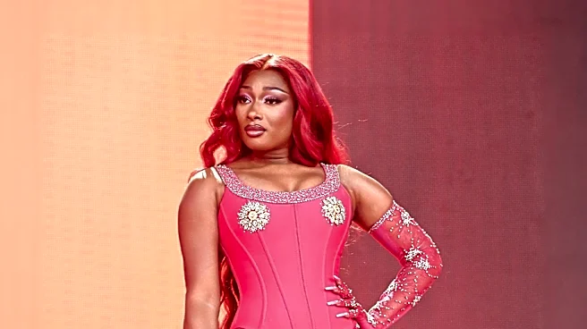 Megan Thee Stallion Releases 'Tina Tuesday Freestyle' Ahead of New Album