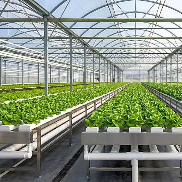 Springworks Farms' Lisbon Headquarters to be Sold at Lender-Ordered Auction