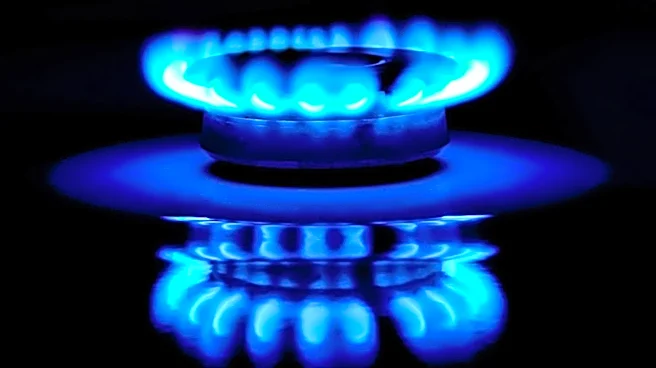 Southwest Gas Holdings Faces Share Price Decline Amidst Mixed Quarterly Results and Rate Case Progress