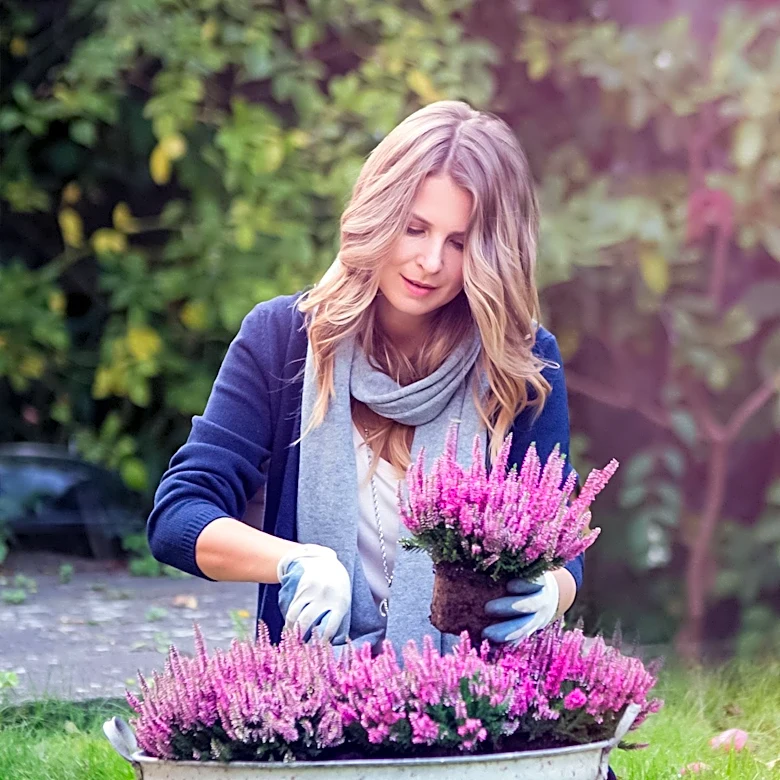 Martha Stewart Advises Against Random Planting, Emphasizes Garden Design and Planning