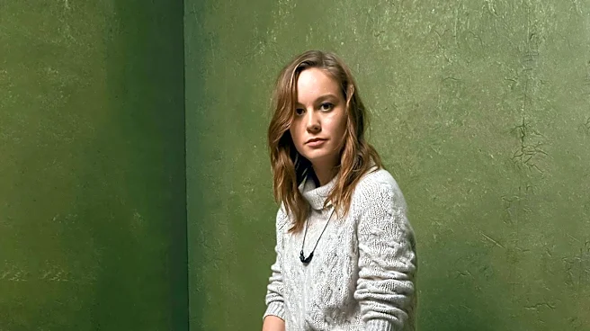 Brie Larson's Career Highlights and Personal Life Detailed